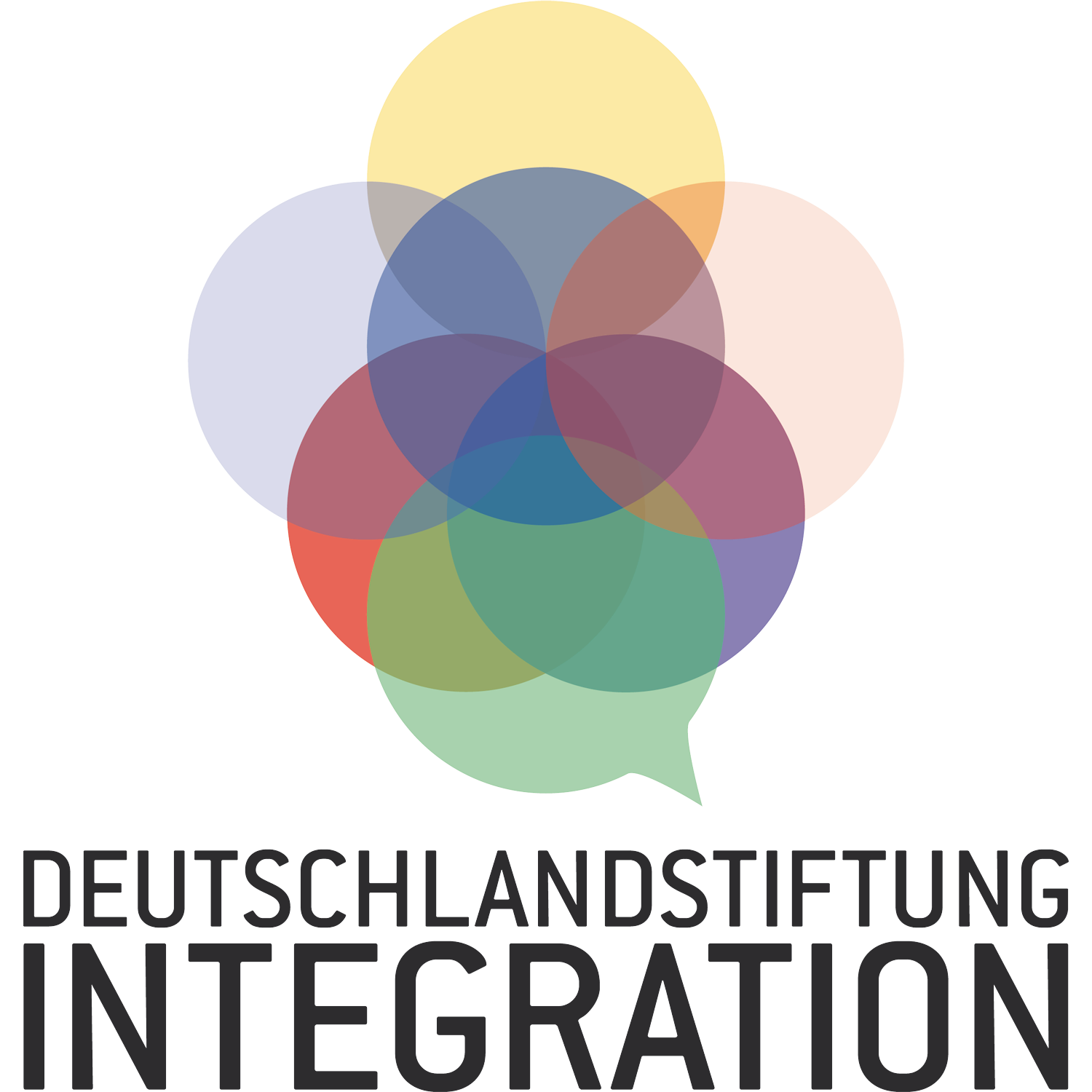 Deutschlandstiftung Integration Logo